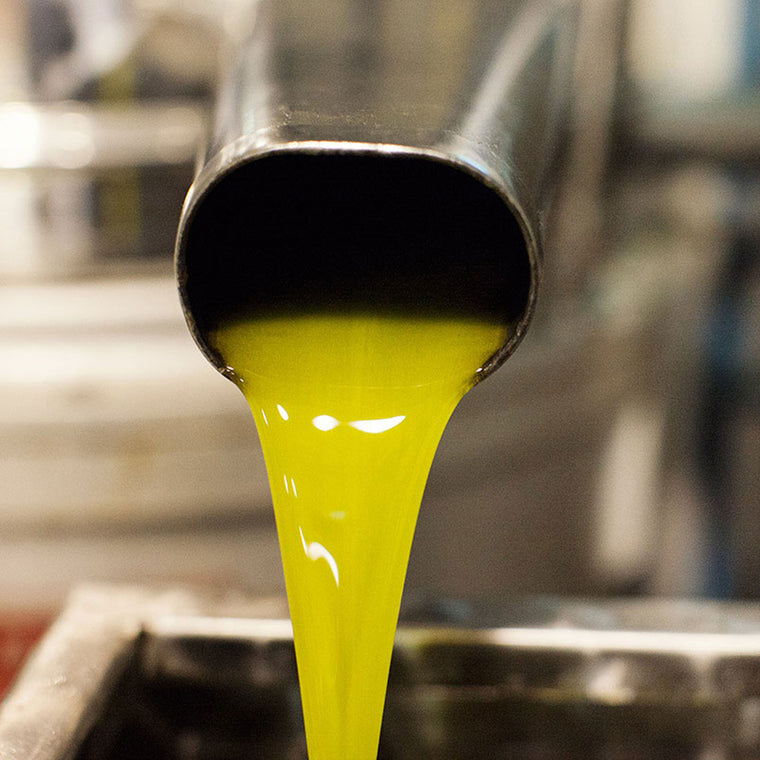 Detailaufnahme des frischgepressten Lia Olivenöls wie es aus der Presse läuft I