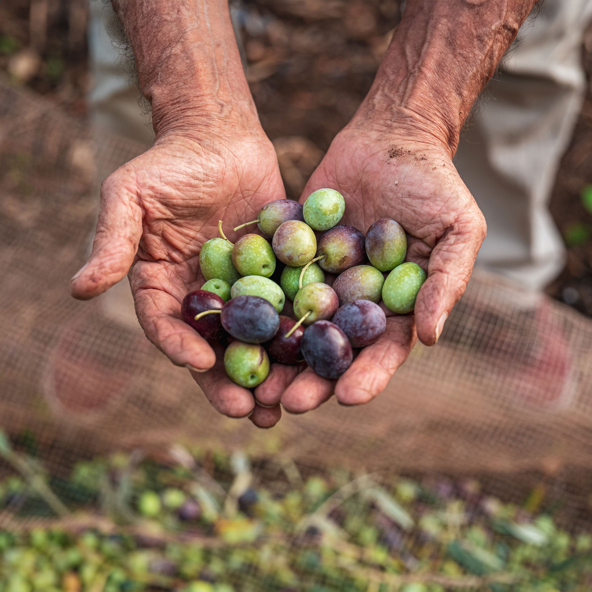 Yiayia - Olivenöl mit Zitrone - 200ml 