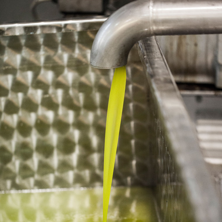 Detailaufnahme des frischgepressten Lia Olivenöls wie es aus der Presse läuft II