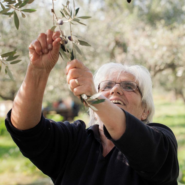 Portrait einer Mitarbeiterin bei Lia während der Olivenernte