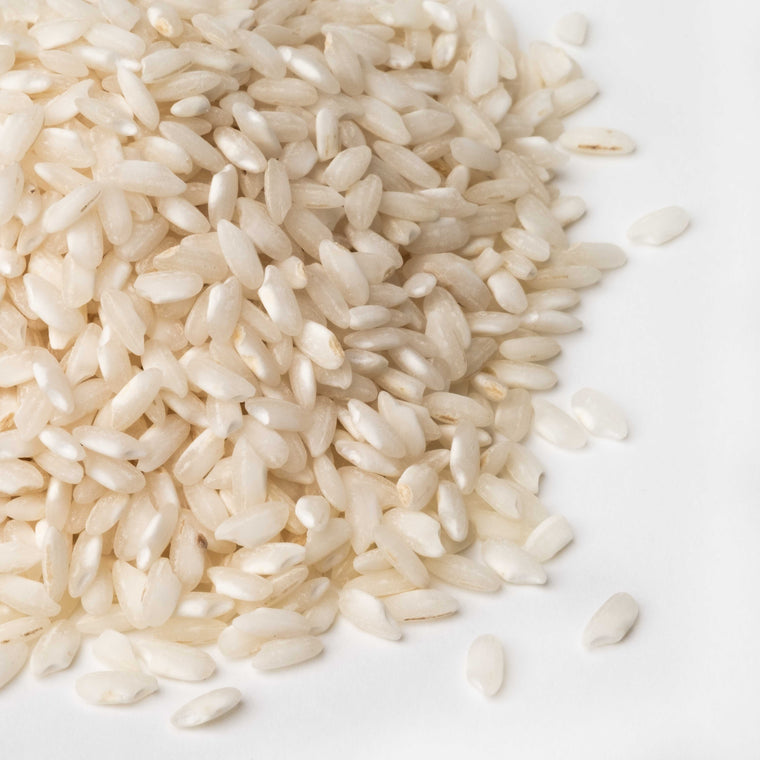 Detailaufnahme der Reissorte Carnaroli